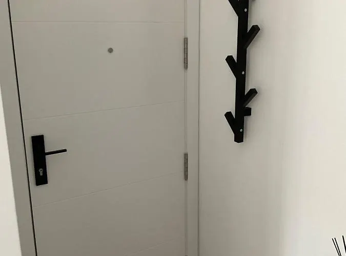 San Vicente 6, 2ºa Apartment *